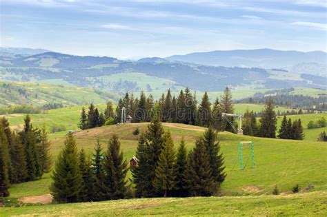 Landscape Of Green Meadows With Fir Trees And Mountains Stock Image