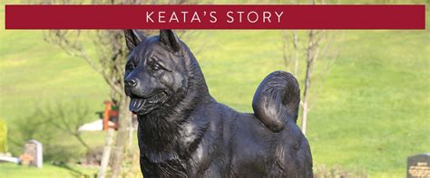 Habegger funeral services is a licensed funeral home and crematory providing compassionate and dignified funeral, cremation, and burial service in toledo, oh. Keata's Story - Pet Funeral Services