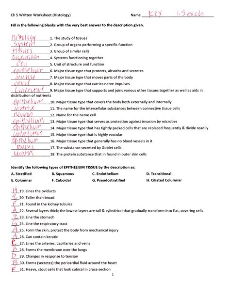 Body Tissues Worksheet Answers