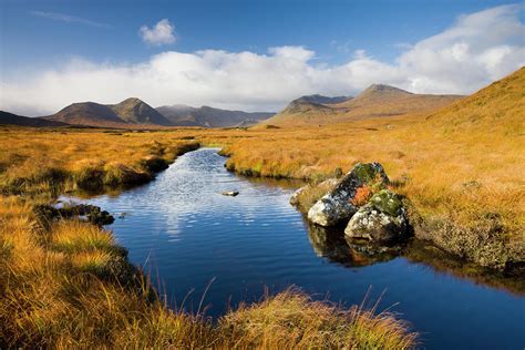 Rannoch Moor In The Autumn Scottish By Adam Burton