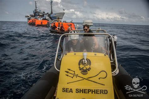 Sea Shepherd Uk Thunder Captain And Officers Face Justice In The Wake