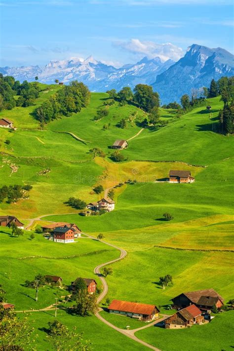 Idyllic Green Meadows And Alps Mountains Landscape Switzerland Stock