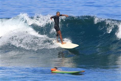 The Perfect Surf Training Program Pdf Full Body Surf Workout And 3