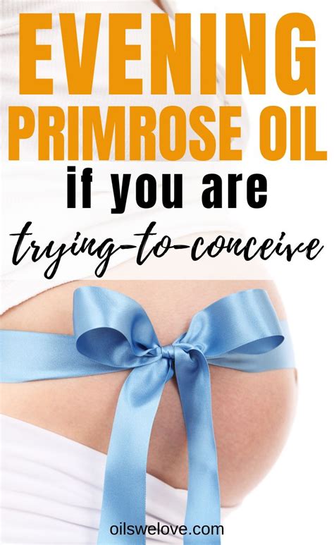 Evening primrose oil has a very high gamma linoleic acid content which is best known for providing nutritional support for women with premenstrual organic evening primrose oil is rich in b vitamins. 10 Best Evening Primrose Oil Supplements - Dosage and ...