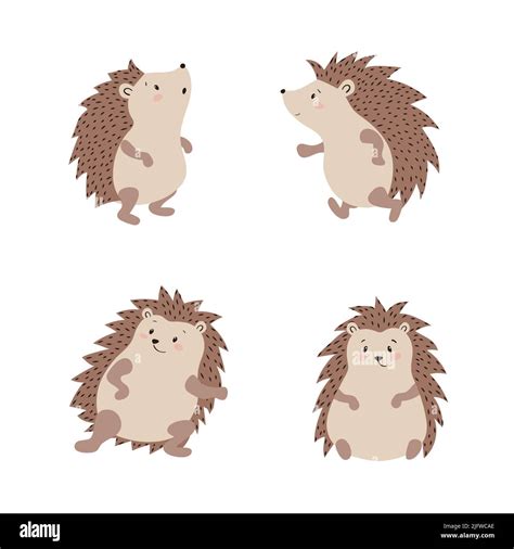 Set Of Cute Cartoon Hedgehogs Isolate On White Background Vector