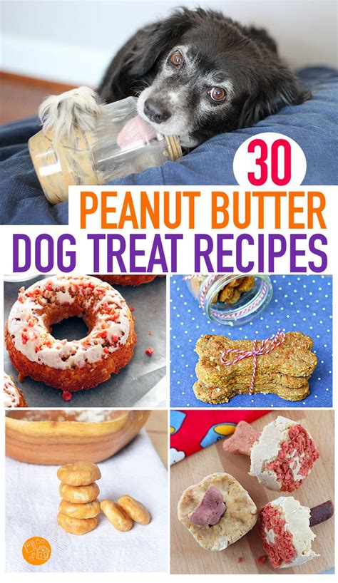 30 Easy Peanut Butter Dog Treat Recipes Your Pup Will Love