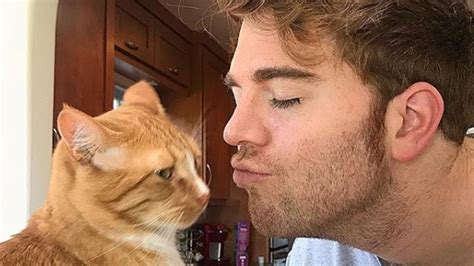 Shane Dawson Denies Performing Sexual Acts On His Cat Youtube