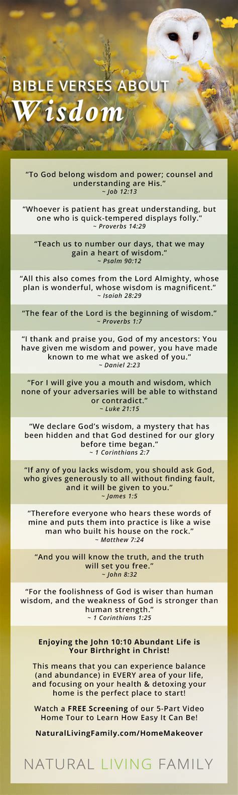 Wisdom Books Of The Bible Meaning / Top 21 Wisdom Bible Verses