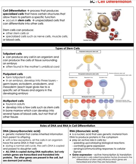 02nd oct 2021 ,singapore , singapore. Biology Staar Questions + My PDF Collection 2021