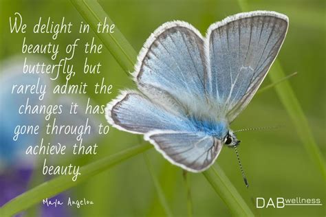 Inspirational quotes and wise words from a legendary icon. Maya Angelou / We delight in the beauty of the butterfly, but rarely admit the changes it has ...