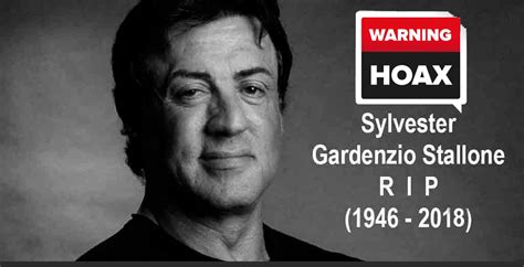 Американский киноактёр, режиссёр, сценарист, продюсер. Sylvester Stallone is not dead: Hoax goes viral on social ...