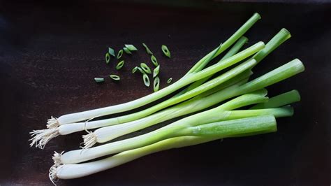 I highly suspect scallions and green onions are the same thing, but what are chives? Scallions Vs Chives... Vs Shallots, Green Onions, Leeks ...