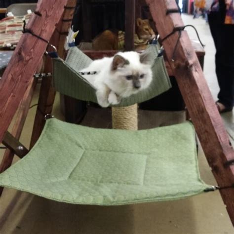Double Teepee Cat Hammock Cat Furniture Pet Furniture Etsy