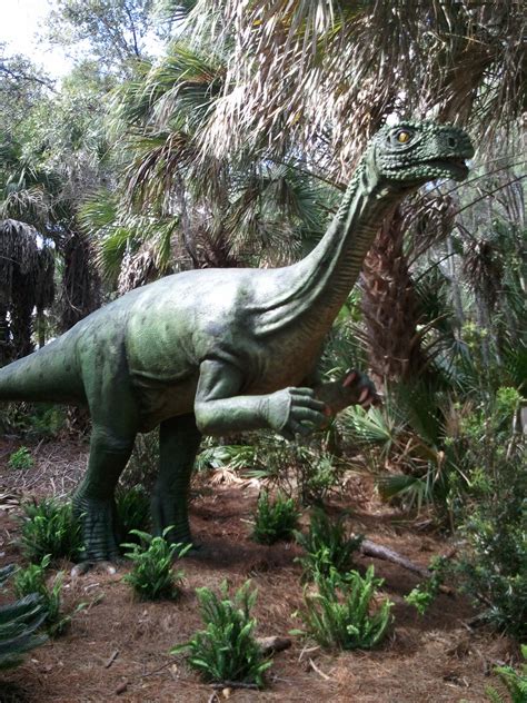 Don't Miss the Dinosaurs at the Brevard Zoo! | Things To Do in Brevard