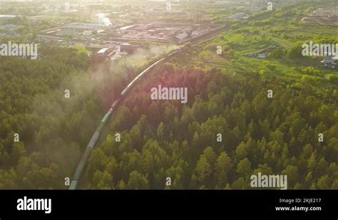 Freight Train Rides In A Pine Forest Top View Stock Video Footage Alamy