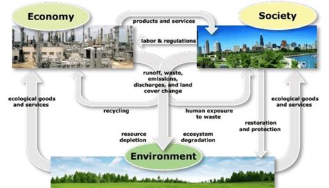 9 Examples Of Human Environment Interactions Earth And Human