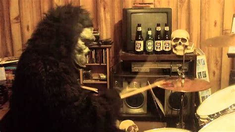 Gorilla Playing The Drums Youtube