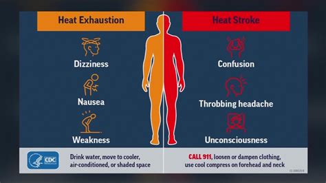 What Are The Symptoms Of Heat Stroke And Heat Exhaustion