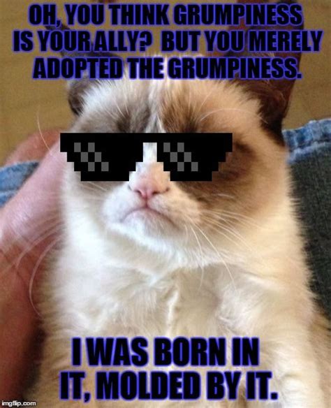 I didn't see the light until i was a man and by then it was only blinding. Create and Share Awesome Images | Grumpy cat quotes, Funny grumpy cat memes, Grumpy cat humor