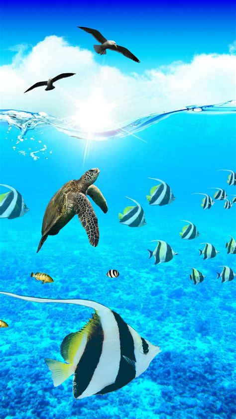 Ocean Aquarium Nature Wallpaper Aquarium Live Wallpaper