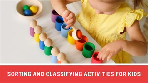 10 Engaging Sorting And Classifying Activities For Preschoolers And Kindergarteners Number Dyslexia