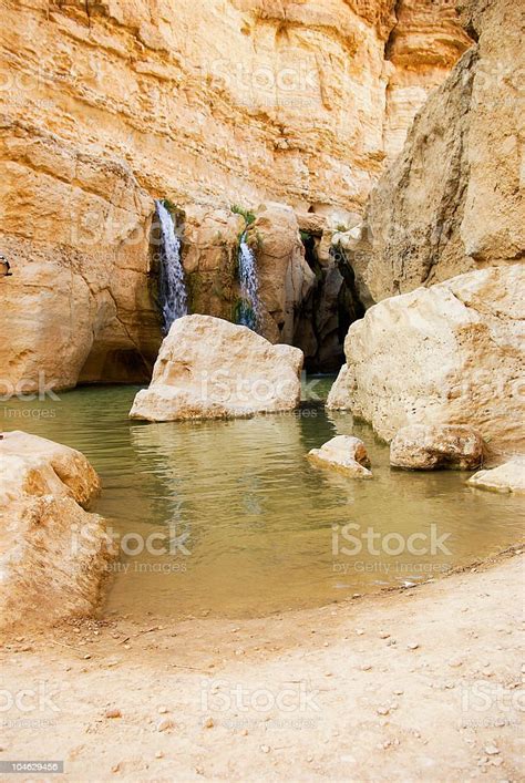 Waterfall In Mountain Oasis Chebika At Border Of Sahara Tunisia Stock