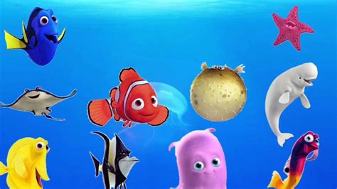 Learn Sea Animals And Ocean Water Animals Names And Sound Real Sound