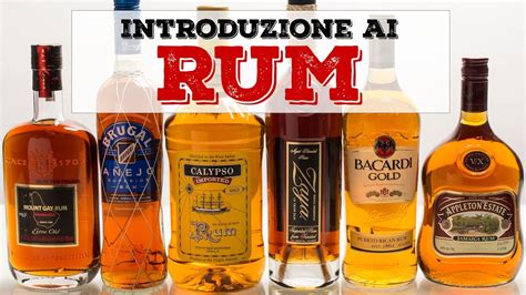 Top 18 search results quanti gradi ha il rum 2022 - vynnlife.com