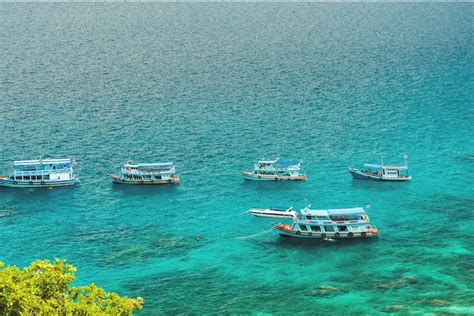 Free Workshop Registration