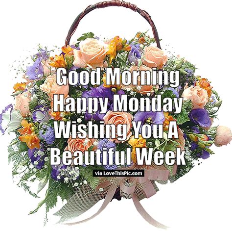 Good Morning Happy Monday Wishing You A Beautiful Week Pictures Photos