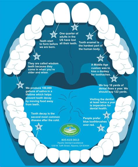 Check This Dental InfoGraphic Dentalcapecod Com Facebook Com
