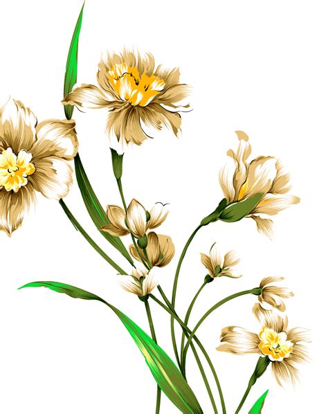 Daffodil Background Isolated Png Png Mart
