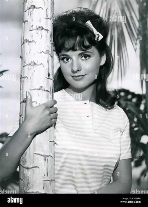 dawn wells american film and tv actress as mary ann in the gilligan s island tv series in 1964