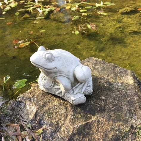 Versand kaufen riesige auswahl 2021 in stein, metall, uvm. Niedlicher Frosch als tolle Teich Dekoration.