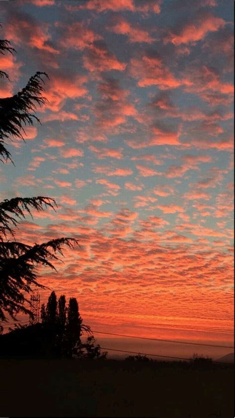 For australia, the ee20 diesel engine was first offered in the subaru br outback in 2009 and subsequently powered the subaru sh forester, sj forester and bs outback. WALLPAPER & LOCKSCREEN GRATIS - 15. SENJA | Fotografi alam ...