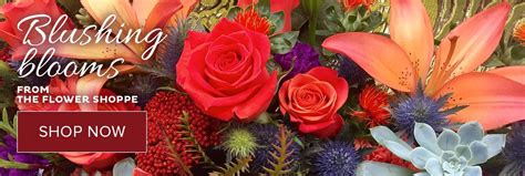 Check spelling or type a new query. Send Flowers Dubai, Abu Dhabi, | Flower farm, Flowers ...