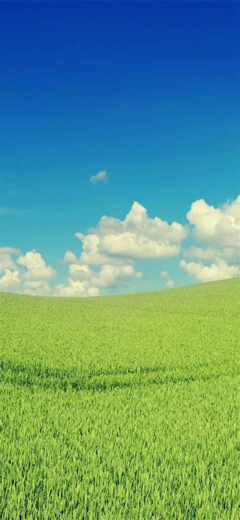 Check spelling or type a new query. cloud sky green | wallpaper.sc iPhone XS Max
