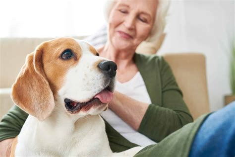 Pet-Friendly Senior Living Options | Cascade Living Group