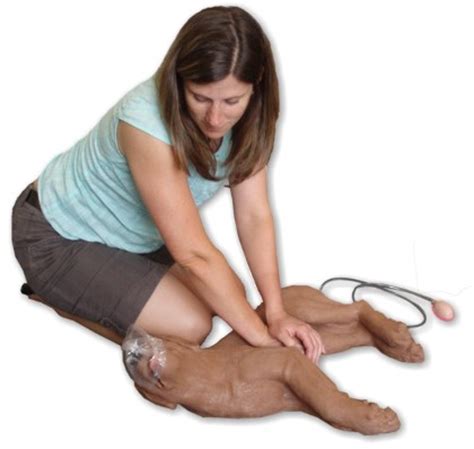 How To Give Your Pet CPR