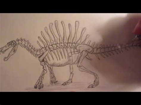 Simple tips for crafting realistic eyes can help you get better at drawing this emotive feature. How to draw a Spinosaurus skeleton part 2. - YouTube