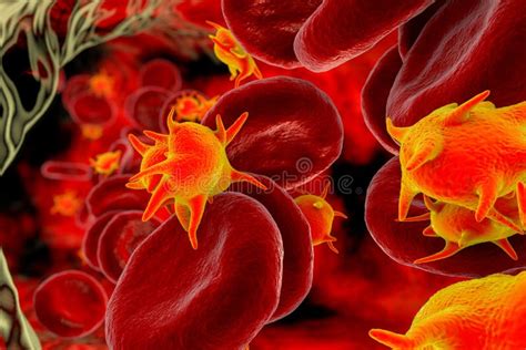 Activated Platelets In Blood Flow And Red Blood Cells Stock