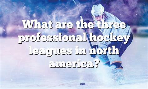 What Are The Three Professional Hockey Leagues In North America Dna