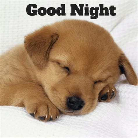 Cute Good Night Images Free Download Спокойной ночи Время спать