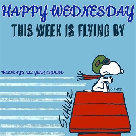 Pin By Bobbie Hall On Happy Wednesday Snoopy Quotes Snoopy Pictures