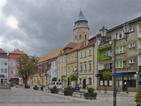 Psy shih tzu z hodowli i ze schronisk, na sprzedaż i za darmo. Kożuchów - Rynek - Zabytki i atrakcje