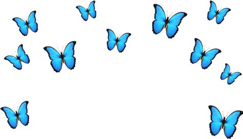 Blue Butterfly Emoji Png