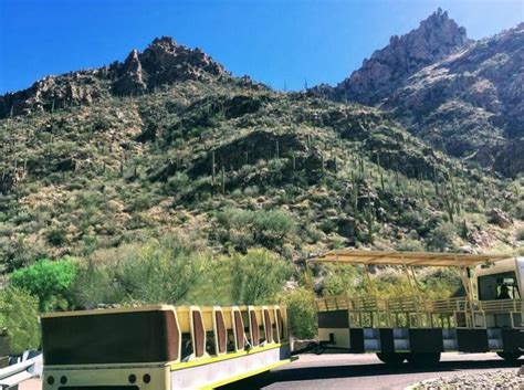Sabino Canyon Recreation Area Tucson Arizona Day Trip