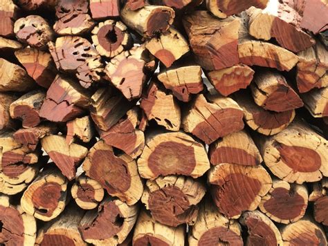Namibian Hardwood Mix Dry And Bagged ±16kg The Firewood Company