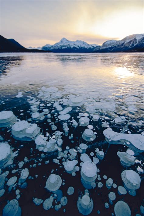 Abraham Lake Alberta Frozen Methane Ice Bubbles Abraham Lake Ice
