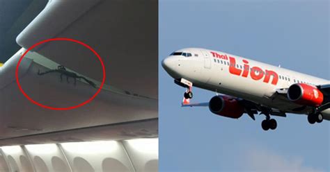 A Venomous Scorpion Was Found Crawling On A Lion Air Flight And